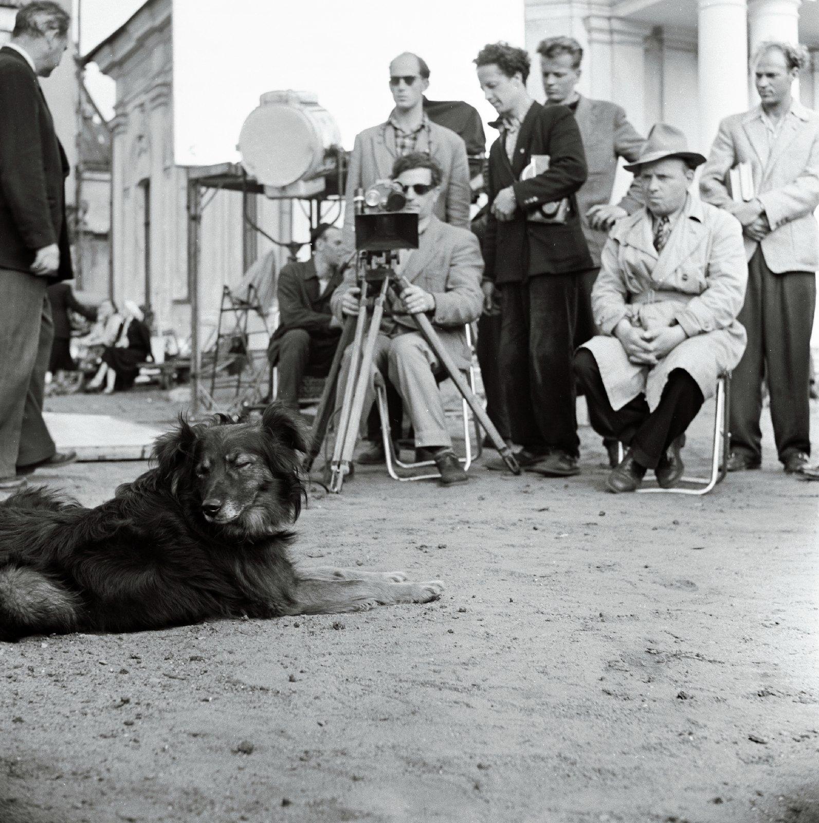 Mängufilm „Esimese järgu kapten“ (1958) - Filmiarhiivi kogu