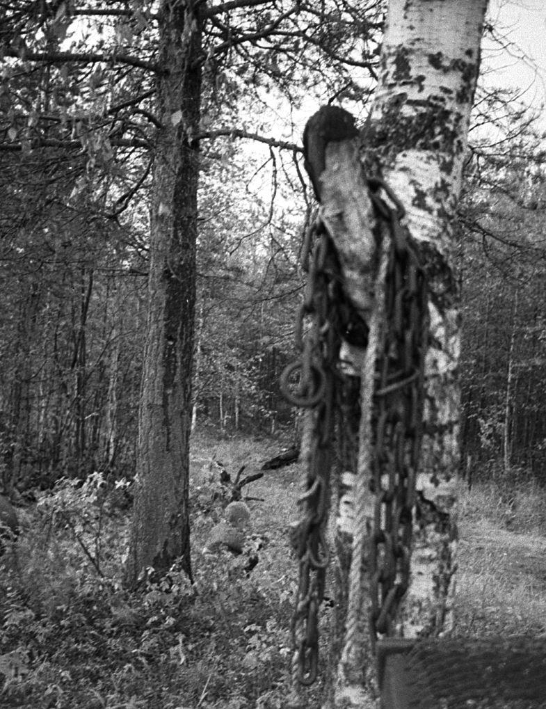 Võttepaigal - Foto Maie Jõgi